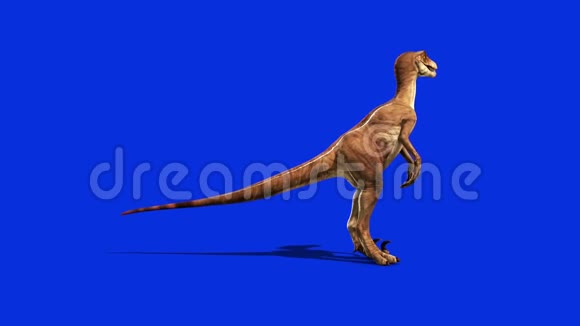 恐龙迅猛龙环视侏罗纪时期的世界视频的预览图
