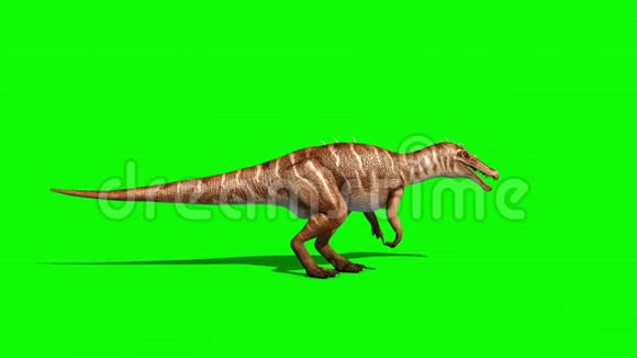 恐龙咆哮侧绿色屏幕3D动画侏罗纪循环视频的预览图