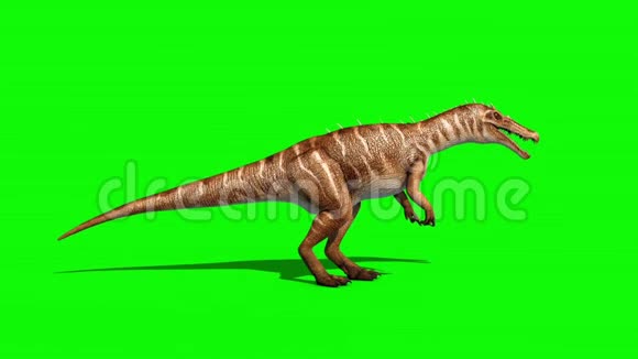 恐龙死亡侧绿色屏幕3D动画侏罗纪循环视频的预览图