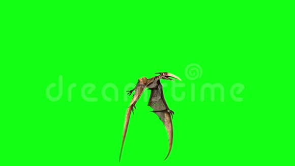 翼龙恐龙飞前绿色屏幕三维渲染动画视频的预览图