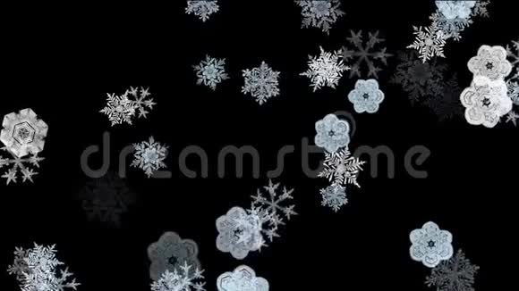 椿雪飘落阿尔法频道包括在内视频的预览图