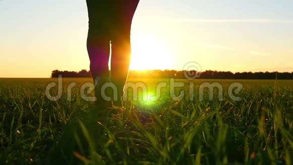 慢动作一个年轻女子在夕阳背景下的绿色草坪上行走视频的预览图