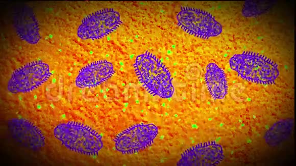 微生物或微生物通过显微镜观察卡通背景视频的预览图