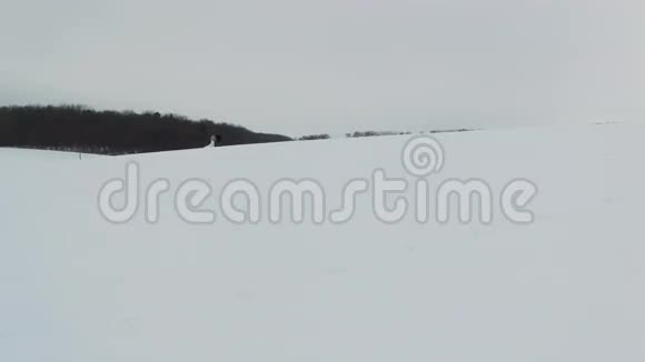 空中情侣在雪地上一起散步视频的预览图