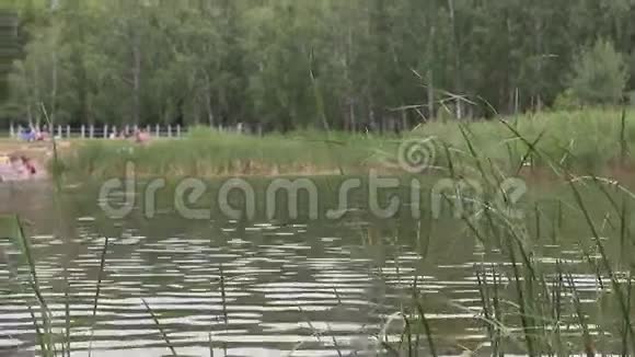 人们在城市公园的池塘里休息视频的预览图