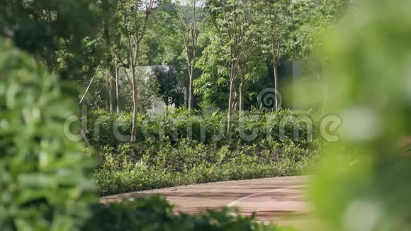 亚洲的父亲和儿子早上在花园里慢跑视频的预览图