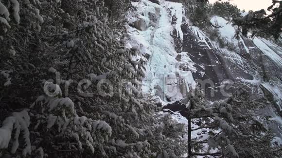 香农瀑布省公园冬季4KUHD视频的预览图