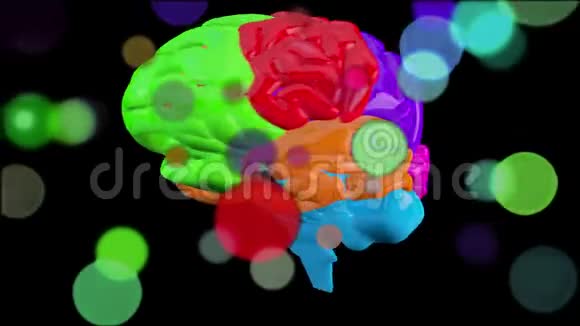 3D色彩鲜艳的人脑在黑色背景上旋转动画视频的预览图