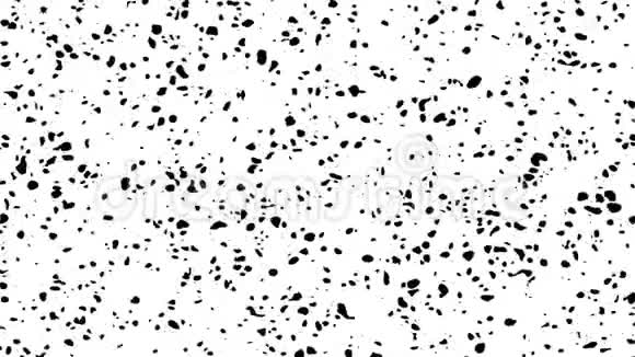 数字黑白图案抽象背景动画无缝环路动画背景壁纸视频的预览图