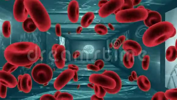 医学扫描屏幕上漂浮的三维红细胞视频的预览图