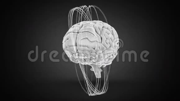 3d人脑在黑色背景上旋转的动画视频的预览图