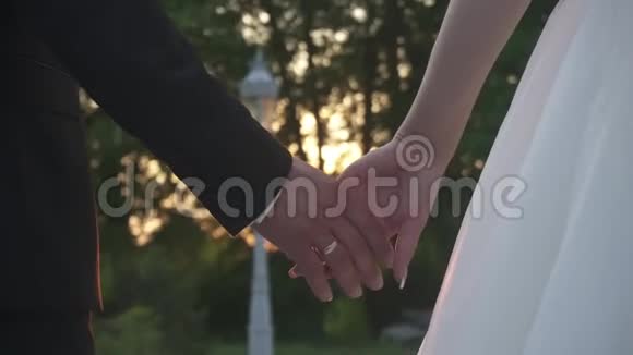 在日落的背景下新婚夫妇牵着他们的手近距离观看视频的预览图