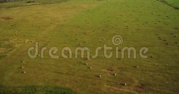 巨大的田野上有干草捆空中升起视频的预览图