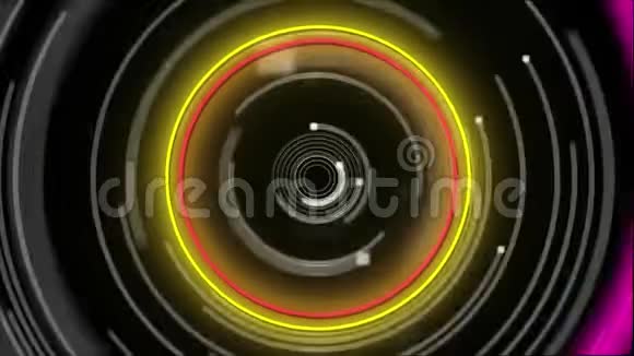 蓝黄粉色旋转圈的动画视频的预览图