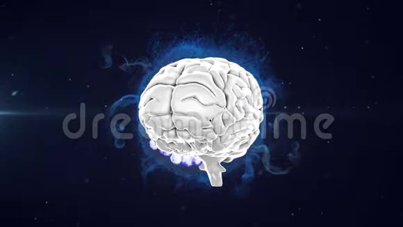 3d人脑在黑色背景下在发光的蓝色地球上旋转的动画视频的预览图