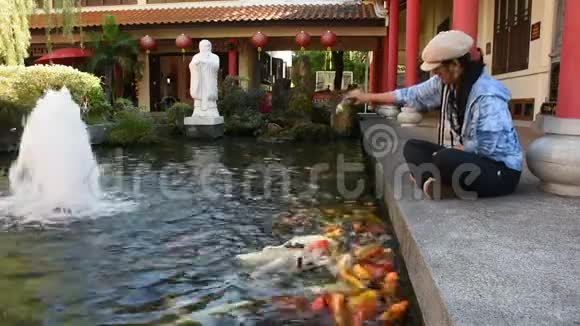 泰国UdonThani中国花园池塘中的花鲤鱼泰国女游客参观并喂食食物视频的预览图