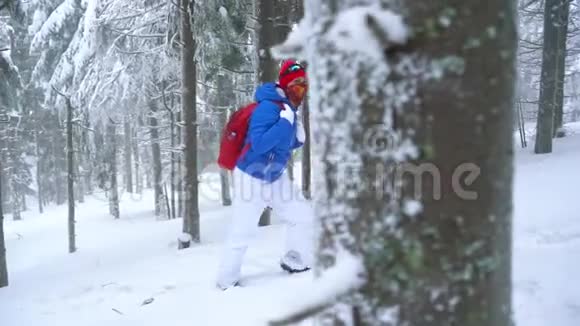 孤独的旅游女孩走在冬天白雪覆盖的针叶林在山上寒冷的天气慢动作视频的预览图