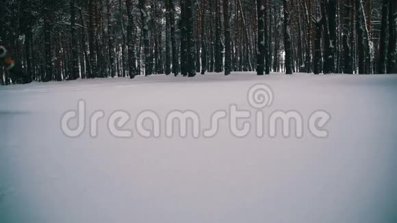 男子驼峰和潜水头进入雪和乐趣在冬季松林慢动作视频的预览图