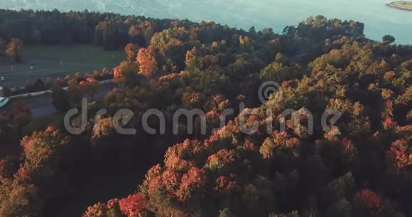 秋天的早晨秋天的树无人机的鸟瞰图视频的预览图