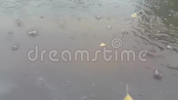 4K景室外漫步在潮湿的灰色道路上上面覆盖着水视频的预览图