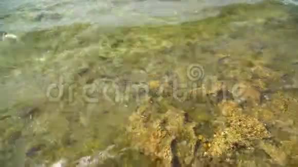 波浪冲刷岩石海岸上人的脚视频的预览图