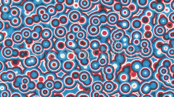 抽象动画的彩色红色蓝色和白色的移动圆形无缝环路动画背景壁纸视频的预览图