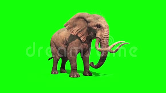 大象饮品及雪碧绿幕3D渲染动画视频的预览图