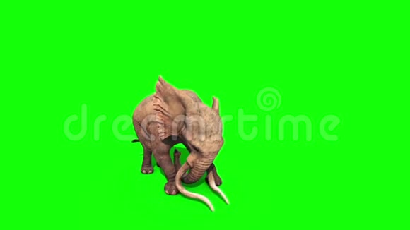 来自绿色屏幕3D动画的大象攻击视频的预览图