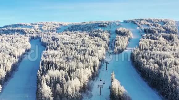 带电梯的滑雪坡的俯视图录像带针叶林和滑雪场的雪覆盖山坡美景视频的预览图