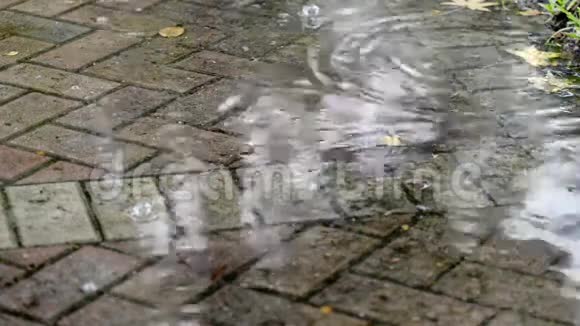 人行道水坑上有雨视频的预览图