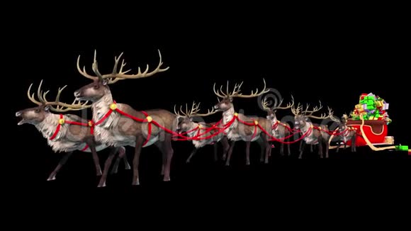 圣诞驯鹿阿尔法哑光3D动画视频的预览图