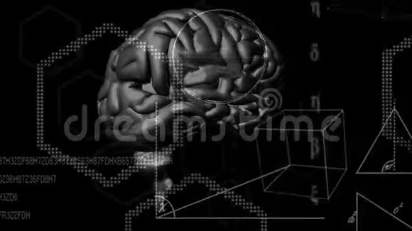 用技术和数据处理动画大脑视频的预览图