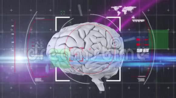 用技术和数据处理动画大脑视频的预览图