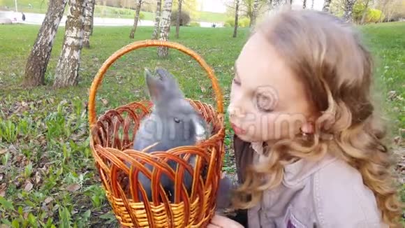 可爱的金发女孩和兔子视频的预览图