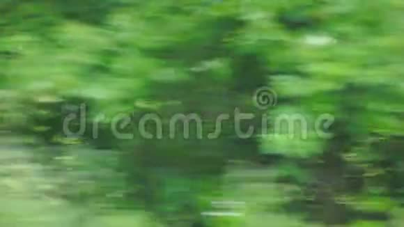 跑步时看到树上满是树叶视频的预览图