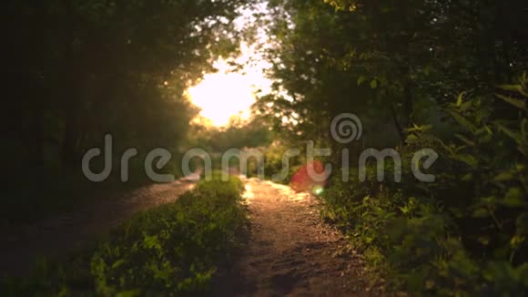 夕阳西下的乡间小路上有着美丽的傍晚的阳光周围是绿树成荫大自然是一个伟大的地方视频的预览图