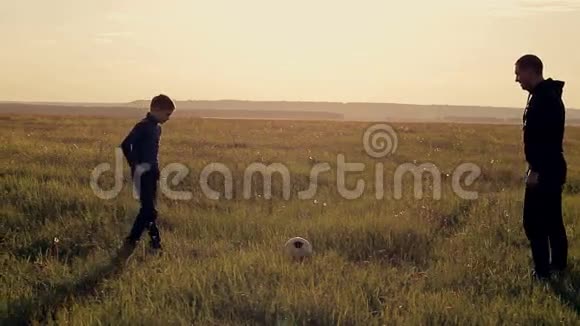 父亲和儿子在草地上打球视频的预览图