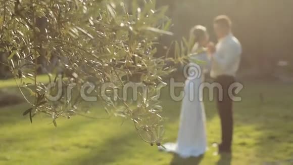 新婚夫妇站在公园旁边视频的预览图