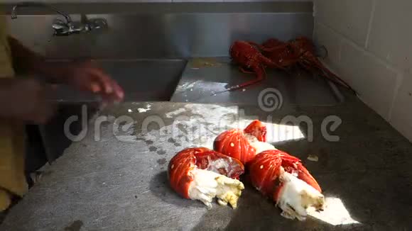 一家餐厅的室外厨房里正在清洗龙虾视频的预览图