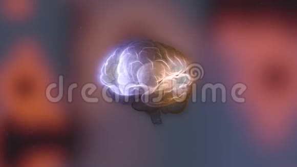 正念概念闪烁的大脑结构在模糊的红光背景上旋转视频的预览图