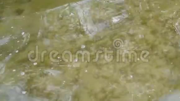 黄沙底上雌足与清静的水嬉戏视频的预览图