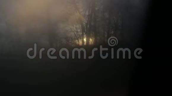 乘坐汽车在森林中阳光透过薄雾玻璃360度彩绘标志旅途冒险视频的预览图