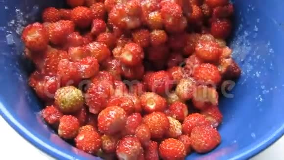 从野生草莓红浆果烹制美味的健康早餐48秒视频的预览图