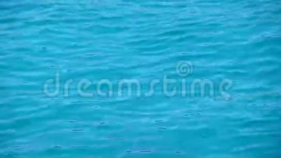 碧波荡漾在水面上视频的预览图