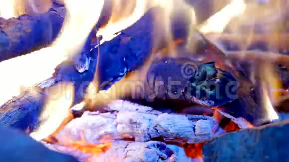 详细燃烧硬木燃烧的树林在热气中颤抖温和的火焰发出荧光白灰覆盖着燃烧的碎片视频的预览图