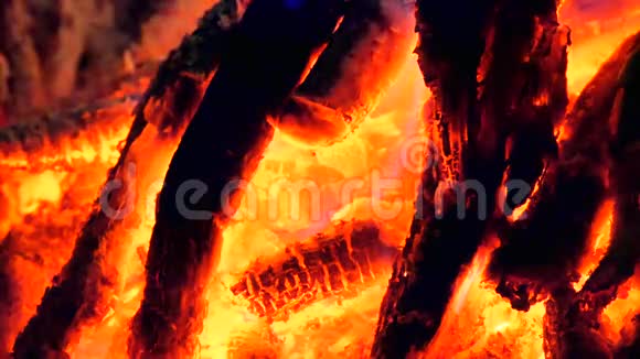 详细燃烧硬木燃烧的树林在热气中颤抖温和的火焰发出荧光白灰覆盖着燃烧的碎片视频的预览图