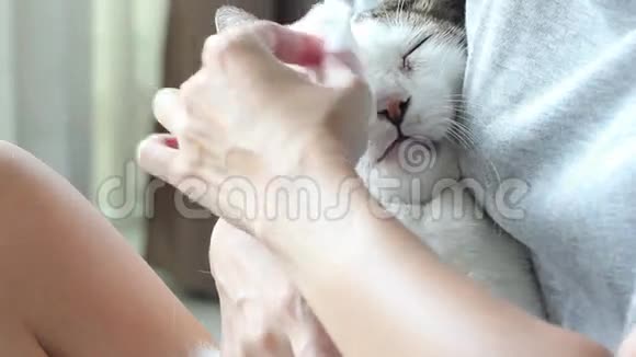 女人清洁猫眼视频的预览图