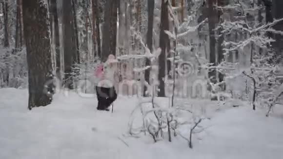 穿着温暖运动服的老年妇女在新鲜空气中的雪林中从事北欧行走领取养恤金者视频的预览图