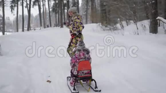 年轻的母亲跑在一个雪松公园里手里拿着雪橇上的绳子她的小孩子正坐着她看上去很憔悴视频的预览图