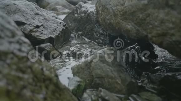 从海岸岩石滴下的水滴视频的预览图